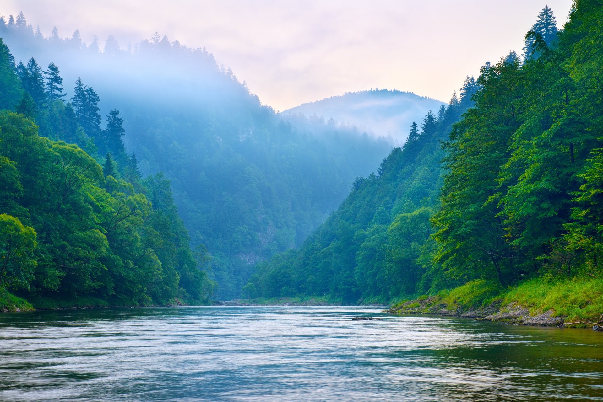A scenic view of mountains and wide river lined with trees on both side